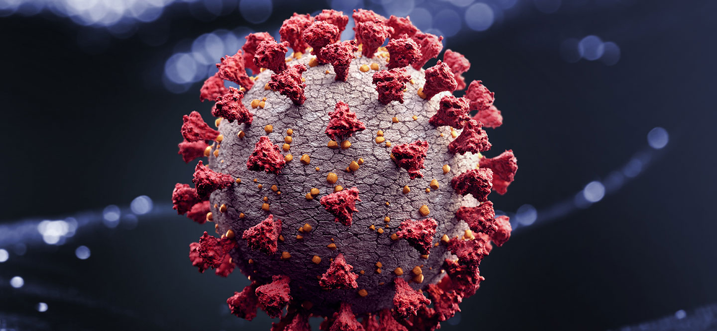Closeup of a coronavirus 